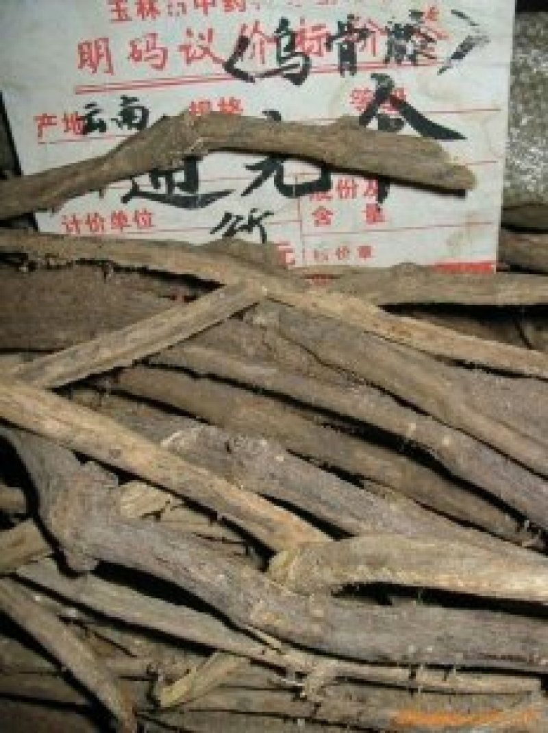 乌骨藤（别名通关藤）