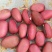 包邮刀豆红刀豆一公斤起批量大从优