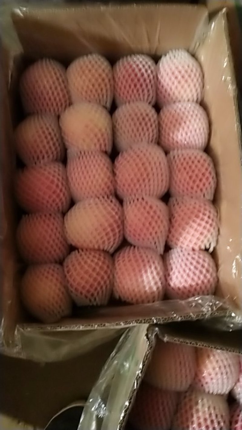 水晶富士苹果