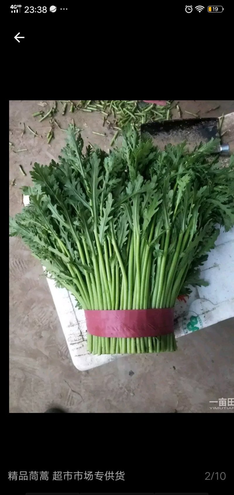 茼蒿
