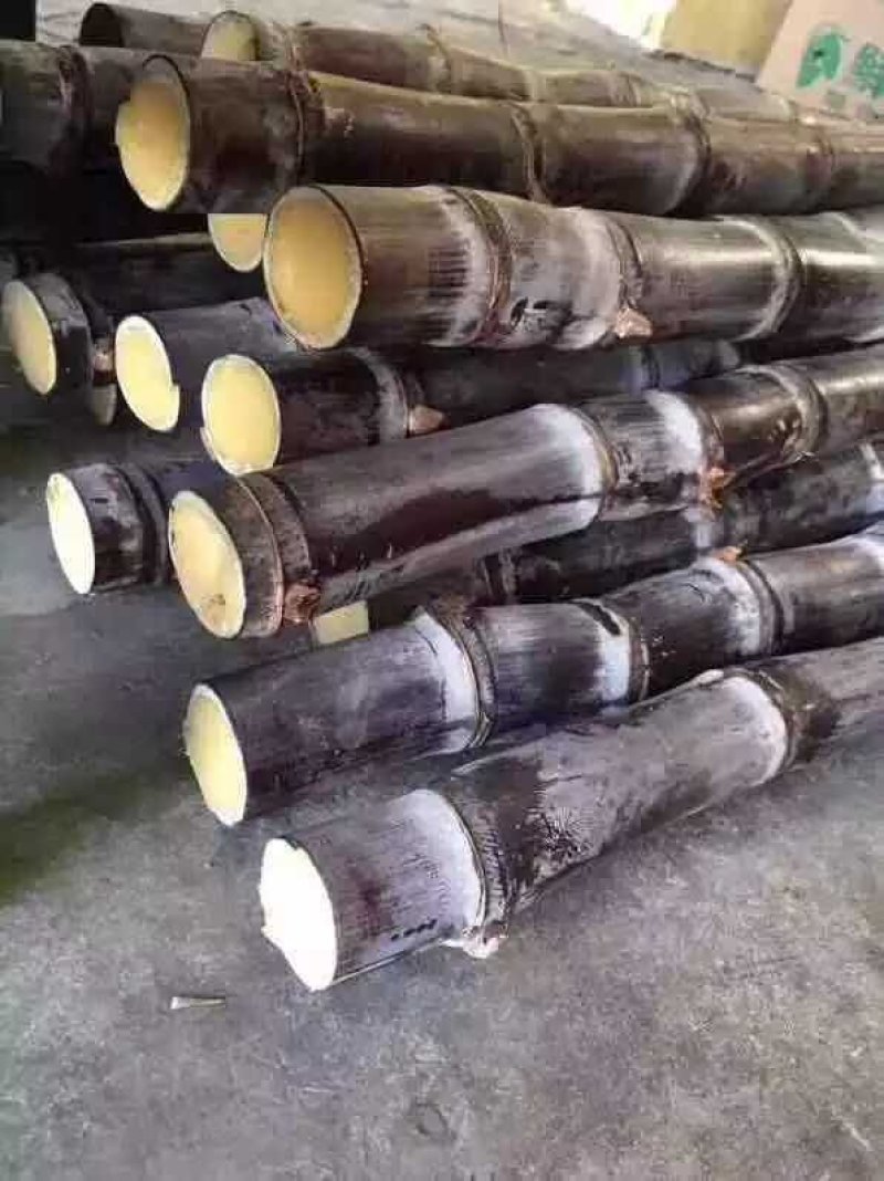 广西玉林市玉州区黑皮甘蔗