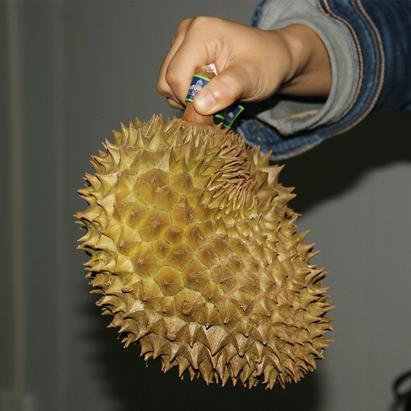 泰国榴莲