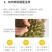 泰国榴莲