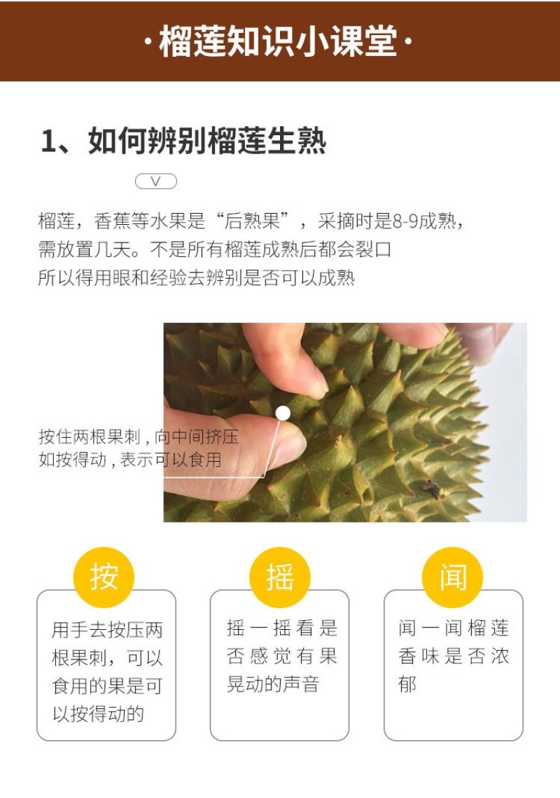 泰国榴莲