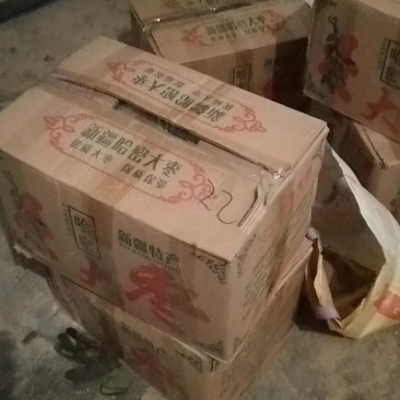 大量供应红薯品种有龙薯九，龙薯6o1，济薯二十六，西瓜红