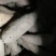 大量供应红薯品种有龙薯九，龙薯6o1，济薯二十六，西瓜红