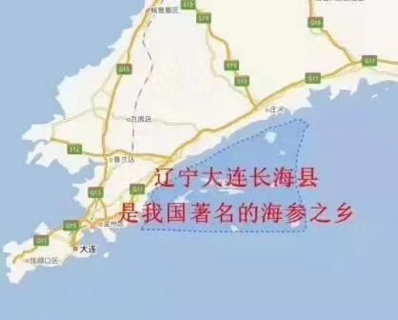 海参，鲜活海参，大连长海县海叁，辽参