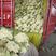 有机花菜，徐州青梗白面散花菜大量上市，质量优美，发货快