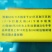 新品种冬枣树苗陕秦荔820，省工，果型好，甜度高