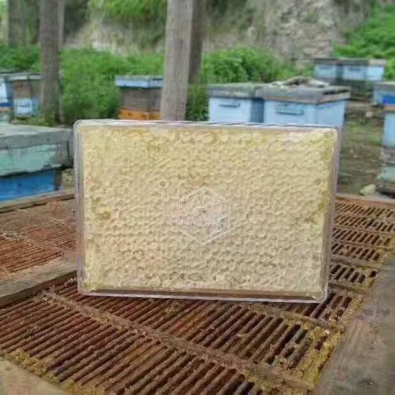 野生蜂蜜