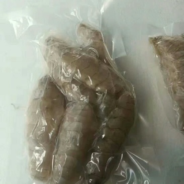 皮皮虾肉