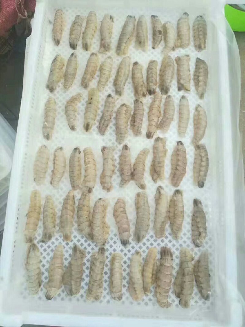 皮皮虾肉