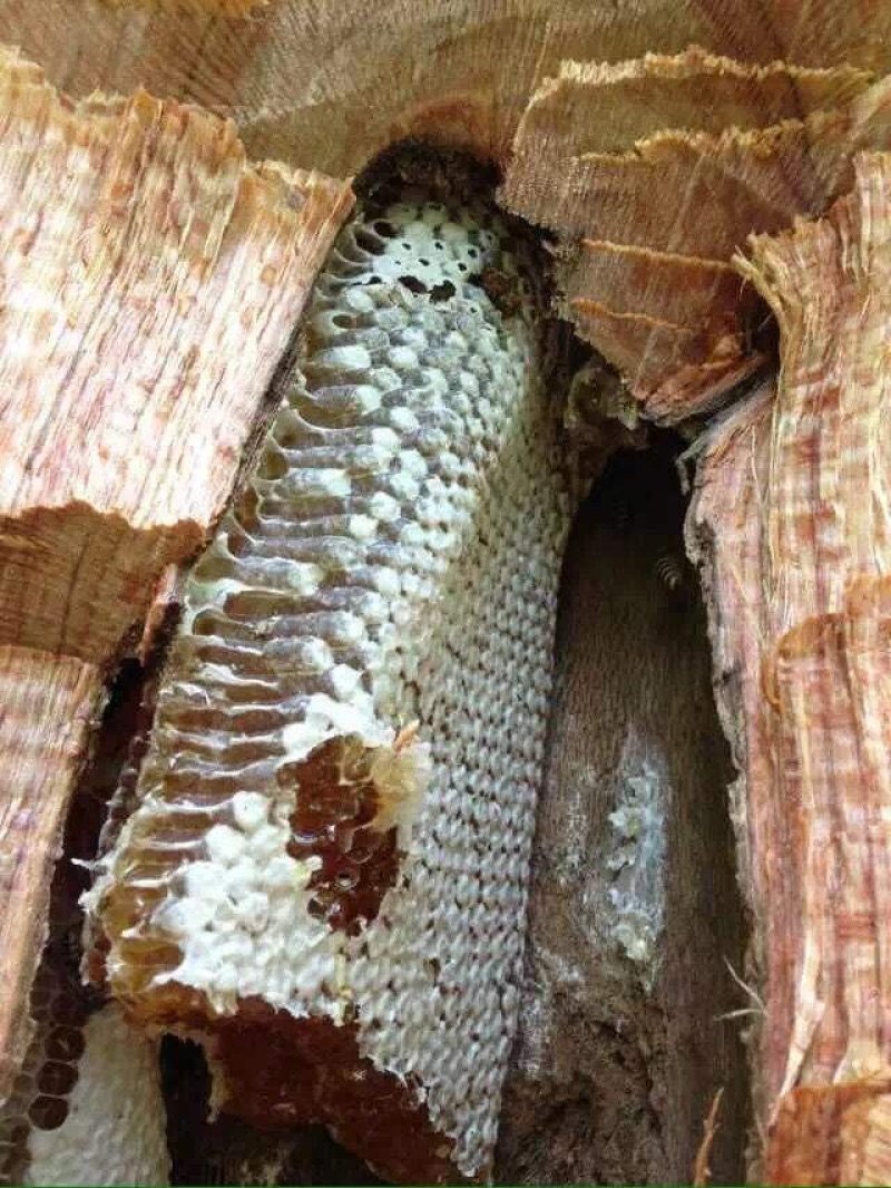 农副/副食