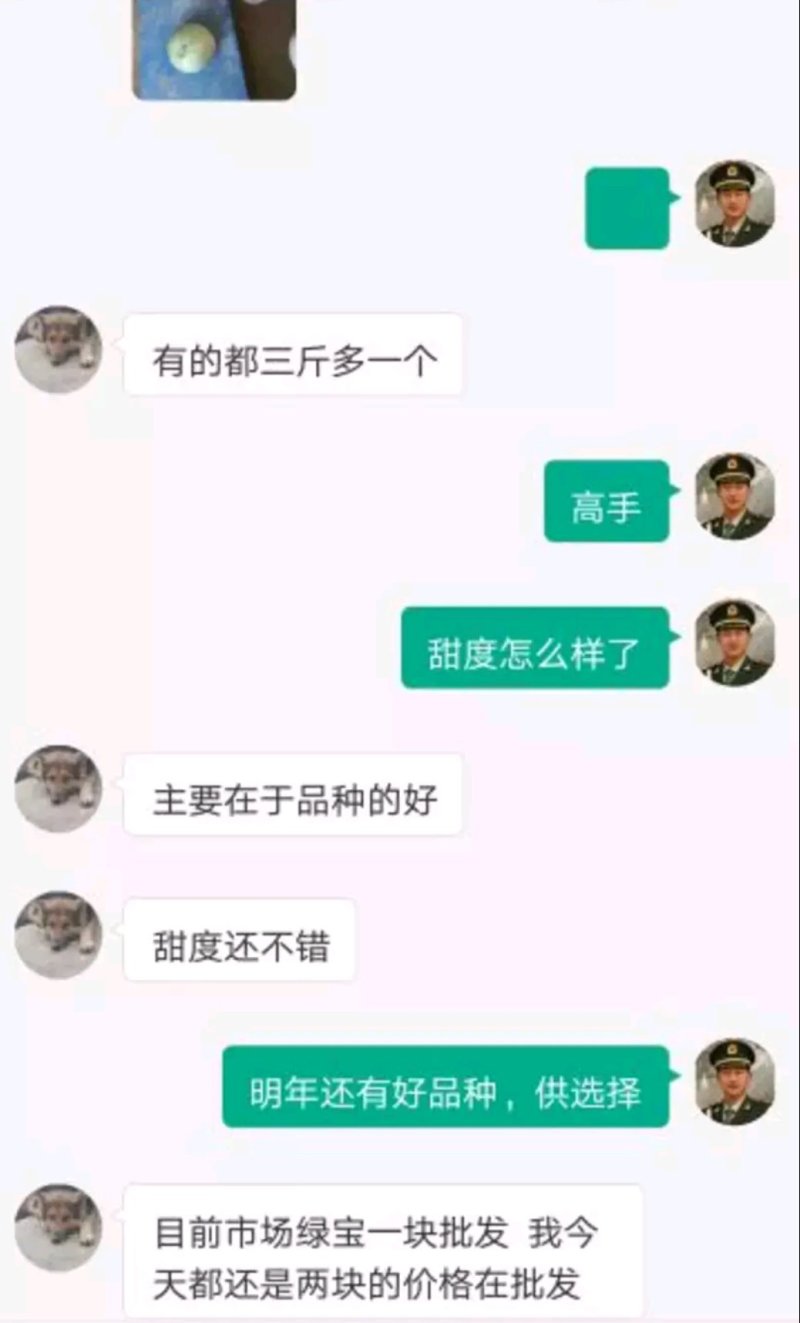 景甜香翠3号绿霸瓜种香脆甜回味悠长丰产