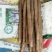 白玉山药大量走货中