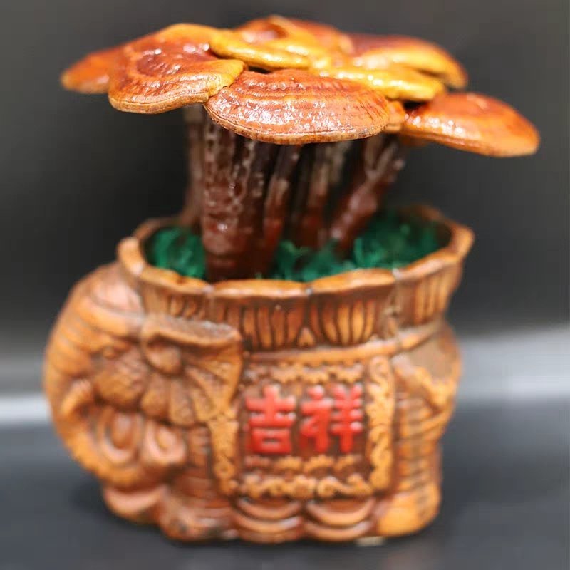 小型灵芝盆景盆栽灵芝办公室居家桌面摆件会销礼品