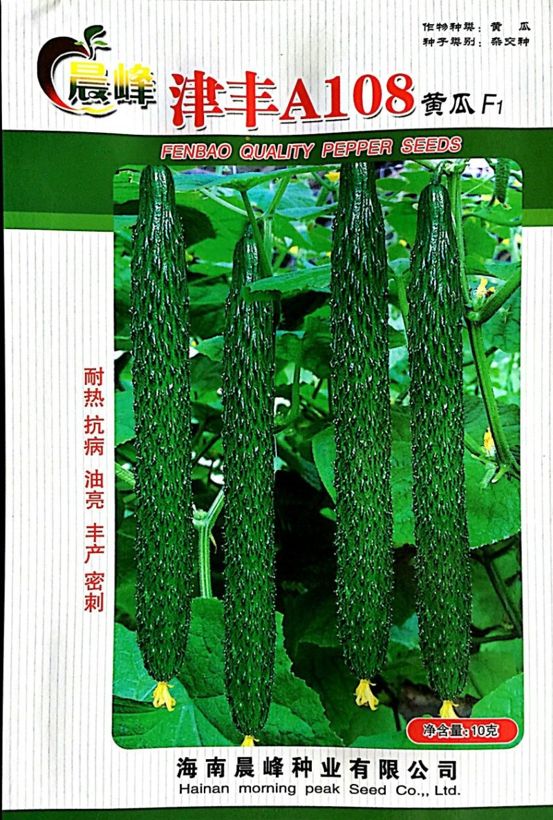 耐热抗病，油亮顺直，密刺，品质保障黄瓜种子