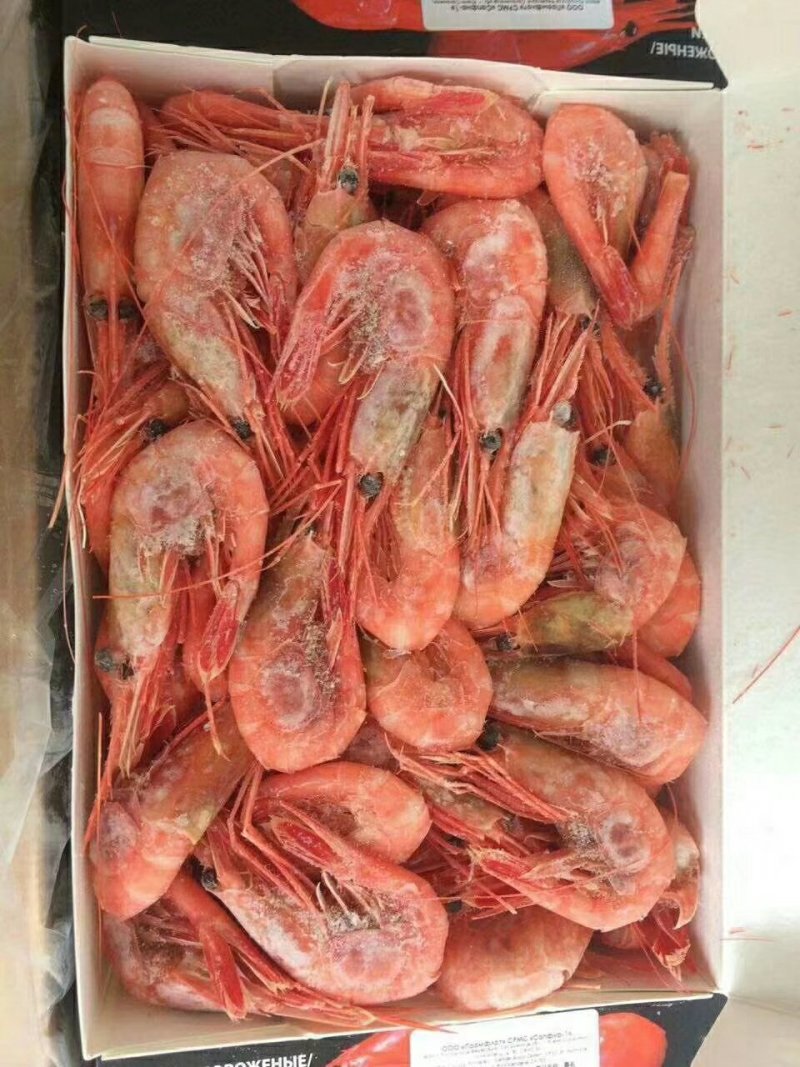 北极虾甜虾俄罗斯北极虾40-60规格十公斤起发