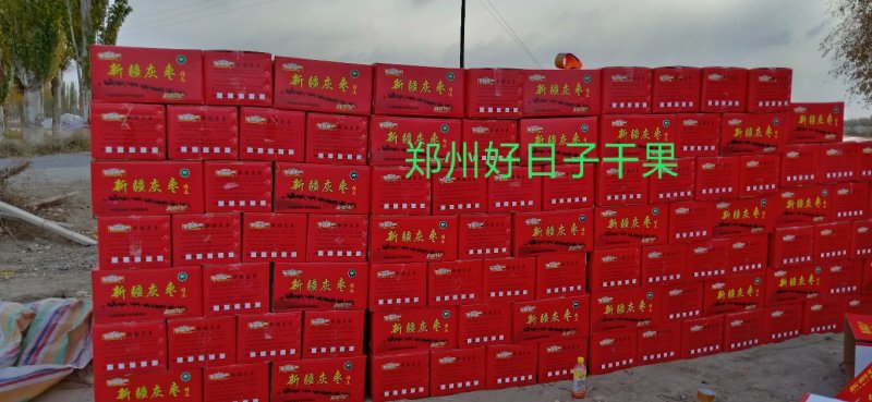 新疆灰枣