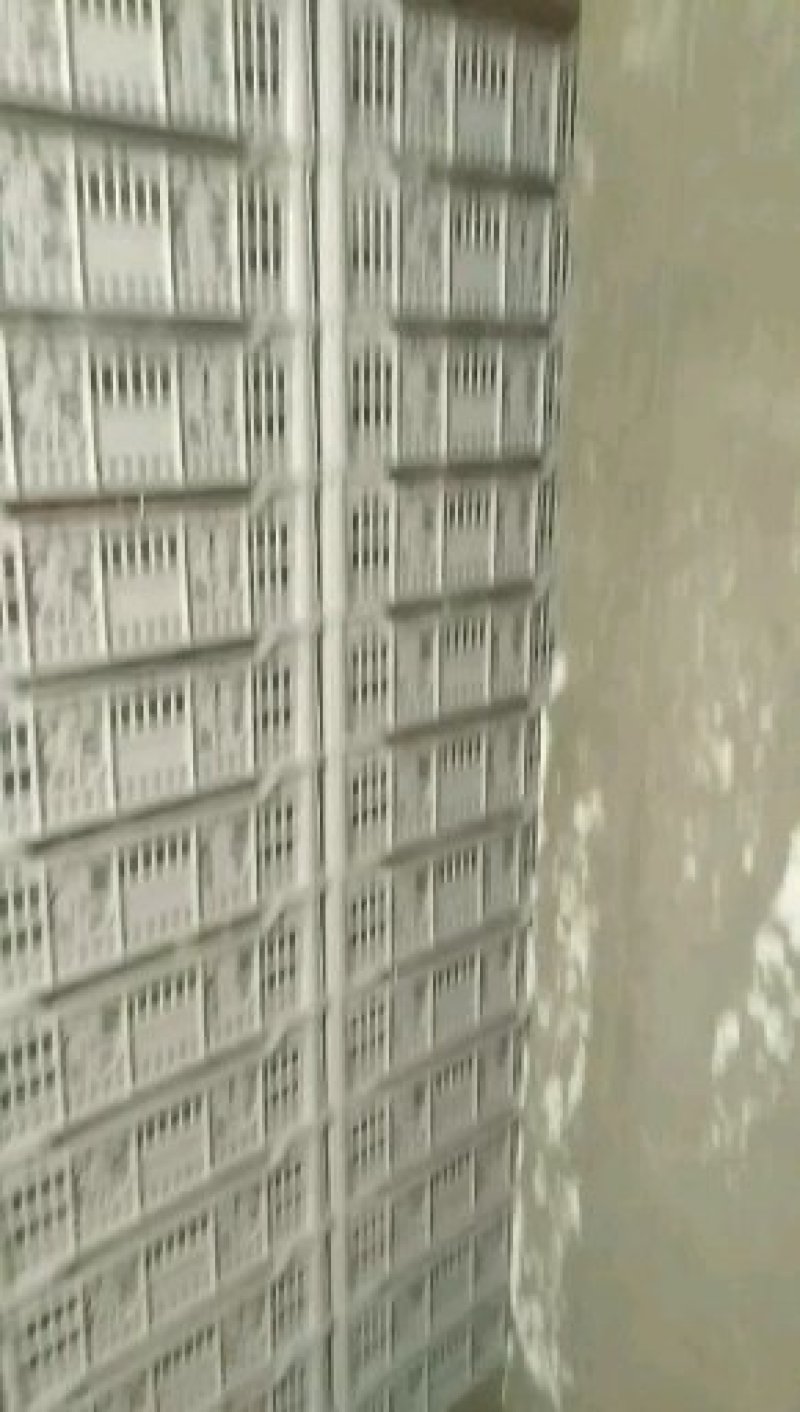 涿鹿红提葡萄产地直销18斤框装，泡沫箱装5斤，10斤装