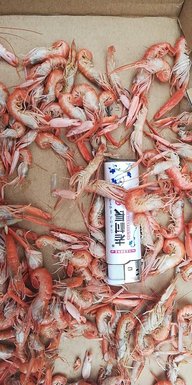 低价处理爪虾，一手货源
