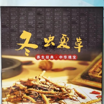 那曲虫草，西藏直发全国包邮。