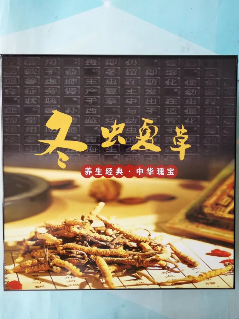 那曲虫草，西藏直发全国包邮。