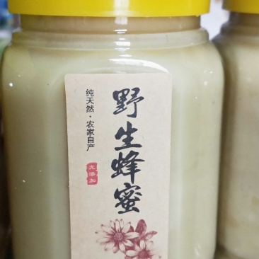 野生蜂蜜，土蜂蜜