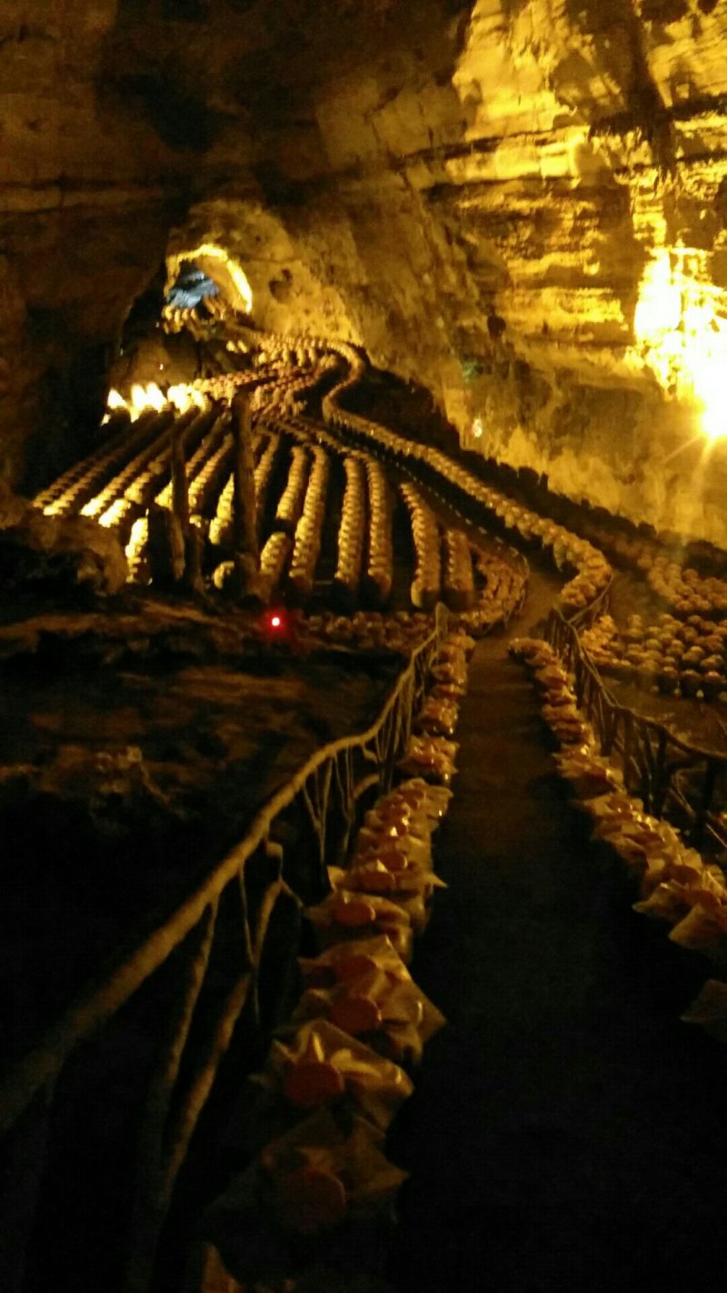 重庆酉阳佛来福洞藏玉米酒。高粱酒