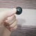 嘉宝果苗