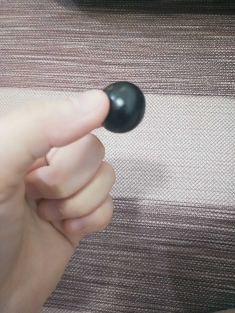 嘉宝果苗