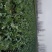 大量青菜上市。