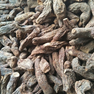 管花肉苁蓉，大芸切片规格齐全量大价优可视频看货