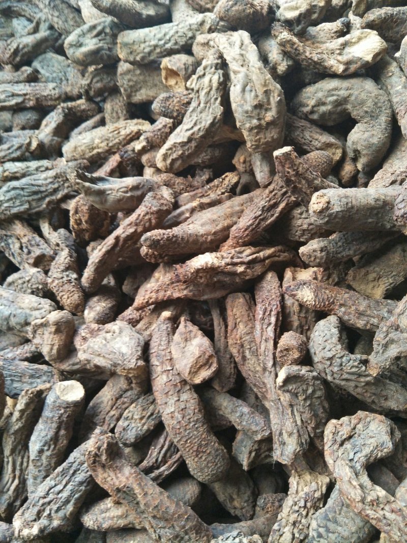 管花肉苁蓉，大芸切片规格齐全量大价优可视频看货