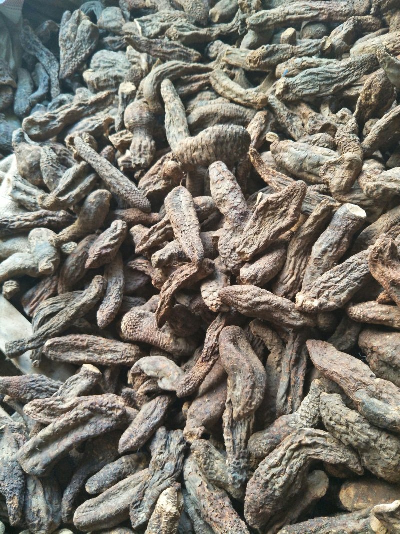 管花肉苁蓉，大芸切片规格齐全量大价优可视频看货