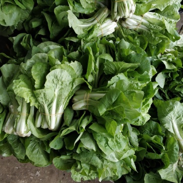 奶油白菜