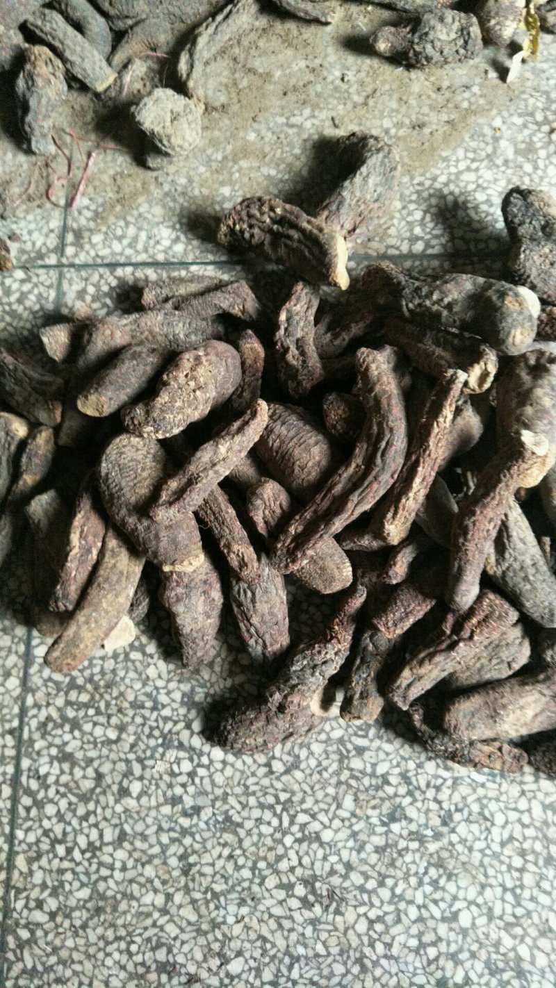 大芸