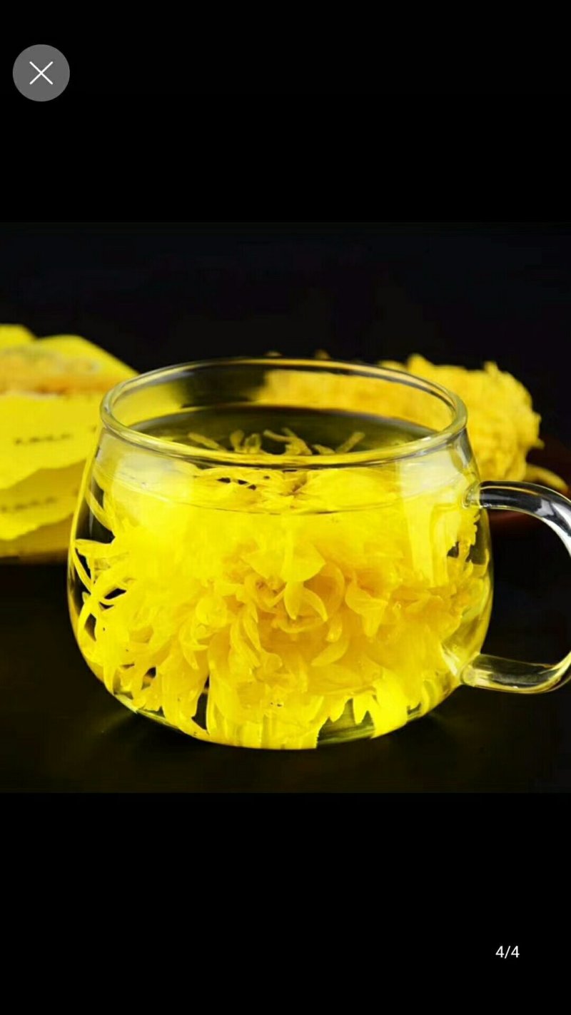 金丝皇菊