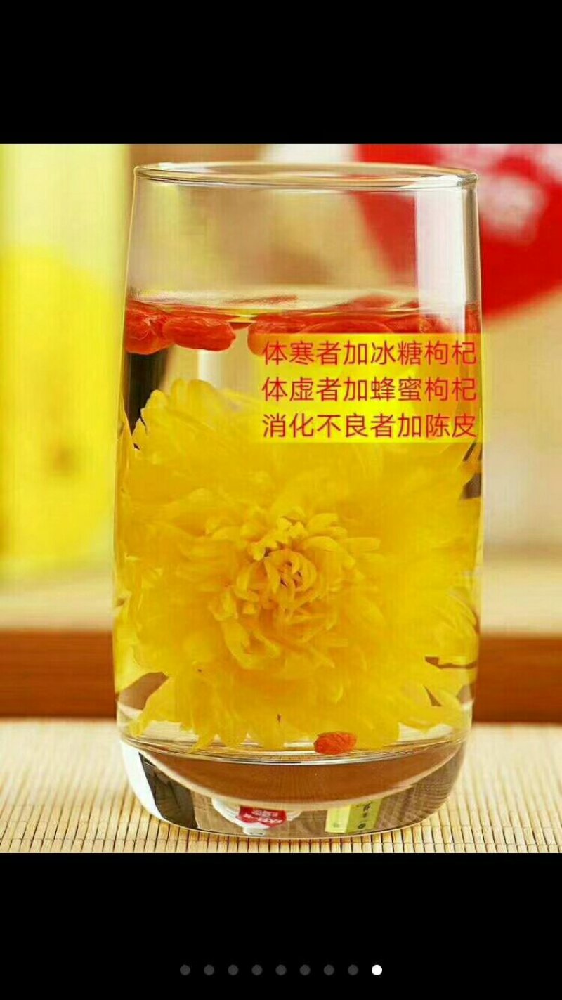 金丝皇菊