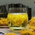 金丝皇菊