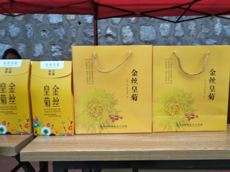 金丝皇菊