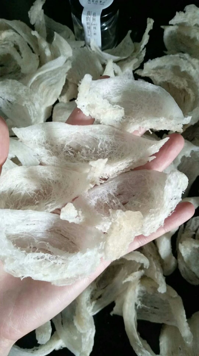 中药花类