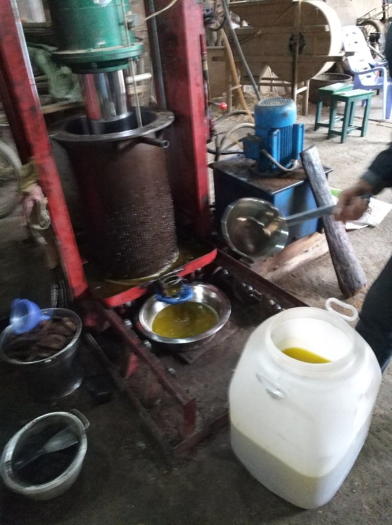 山茶油