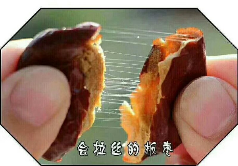 稷山板枣
