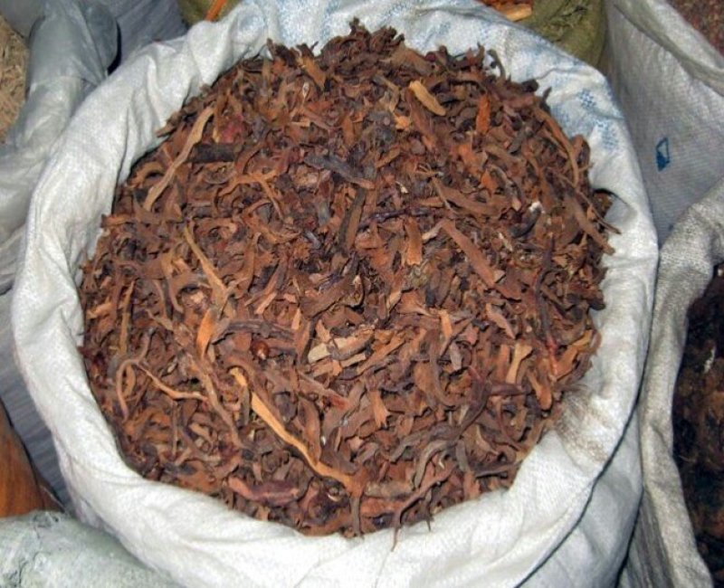 长期供应骨碎补