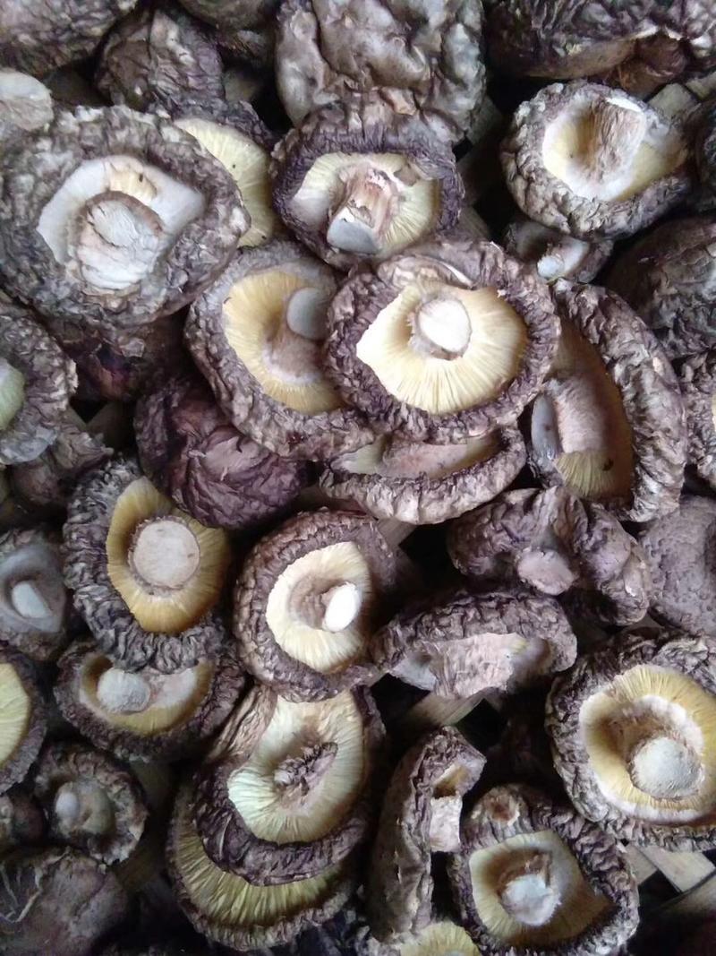 优质花菇大量供货50斤起批常年经营保证质量