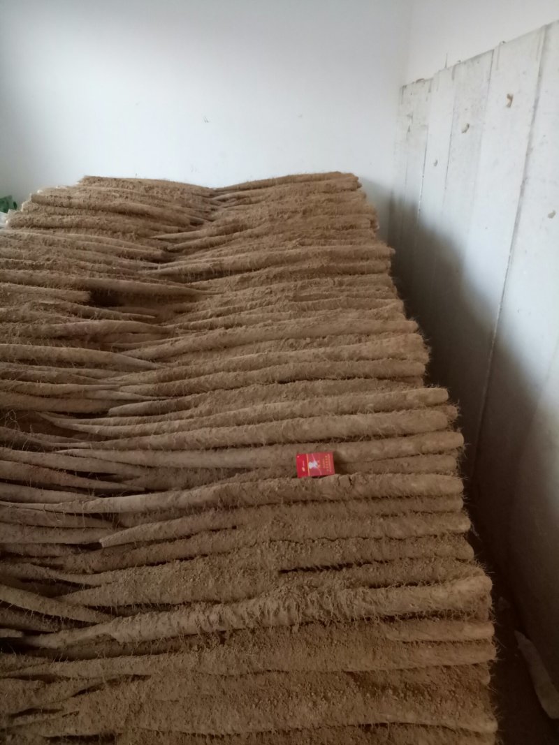 河北邢台市任县白玉山药
