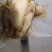 花雕鸡