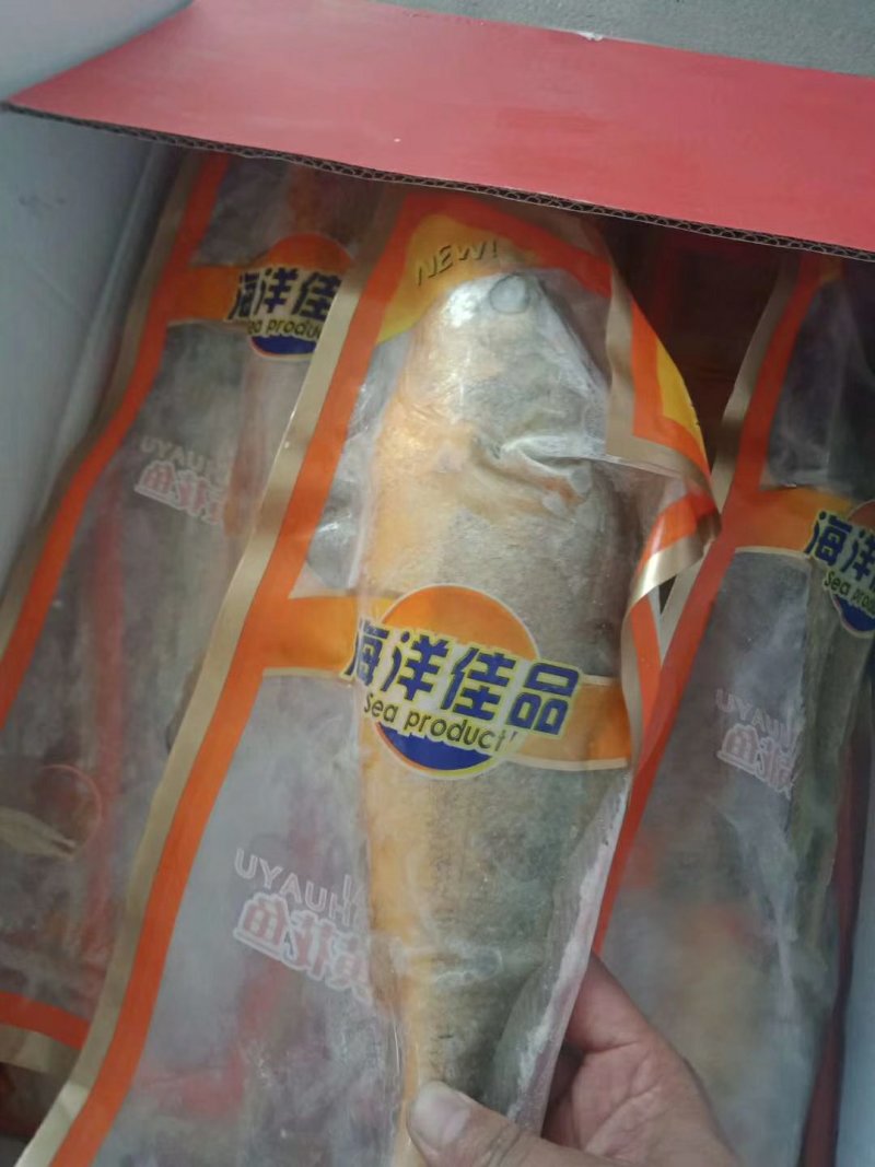 大黄鱼0.8/1斤一条，一箱5条