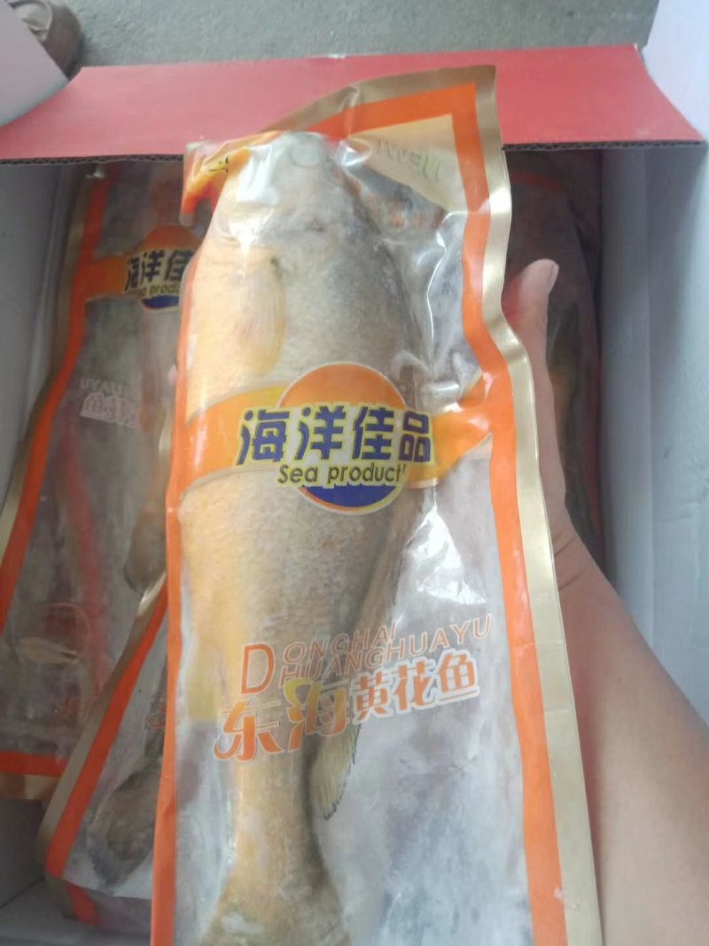 大黄鱼0.8/1斤一条，一箱5条